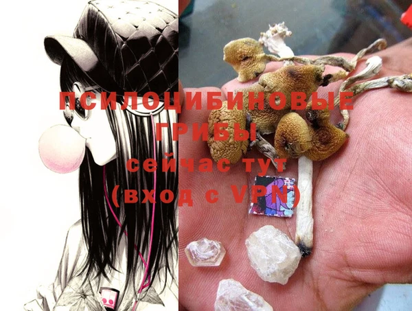 не бодяженный Коряжма