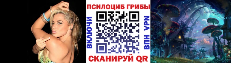 блэк спрут зеркало  Ардатов  Псилоцибиновые грибы мухоморы 